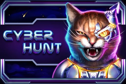 04937 cyber hunt