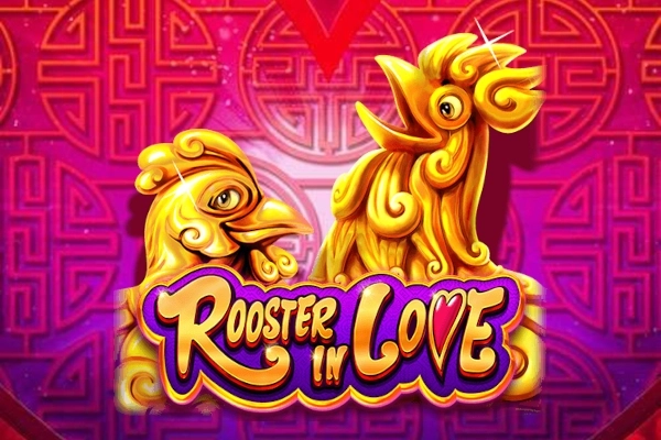 11401 rooster in love