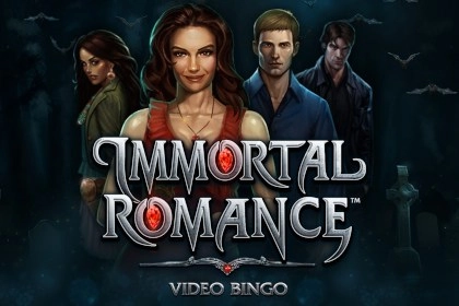 14571 immortal romance video bingo
