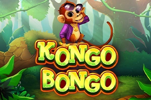 24210 kongo bongo