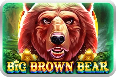 24800 big brown bear